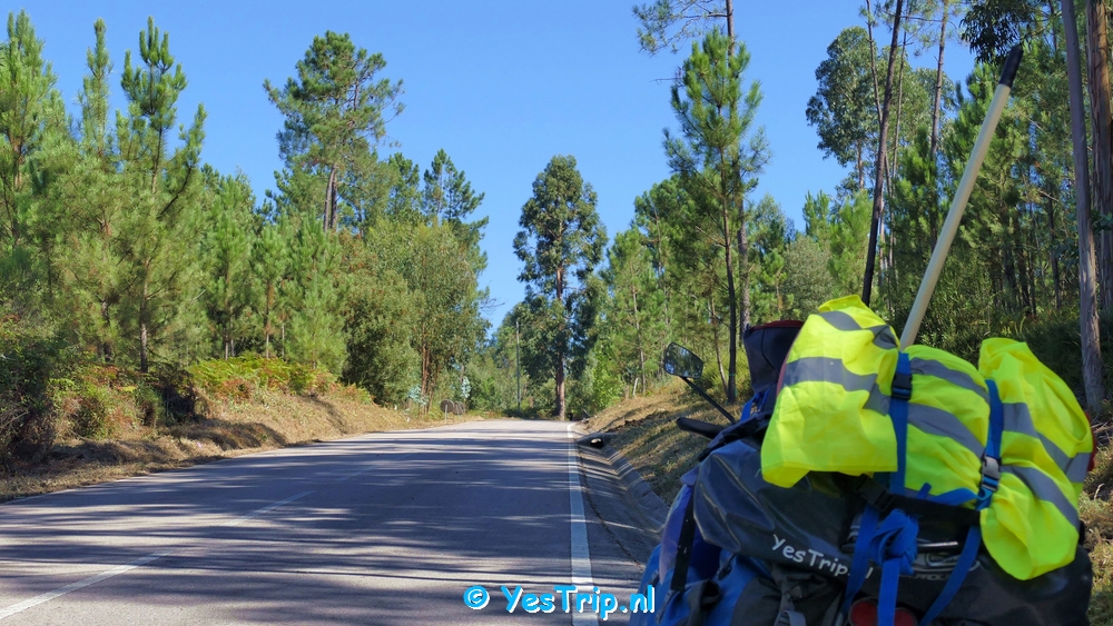xxx From Senhor da Serra to Serpins